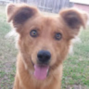 Meet your Posher, Kalie